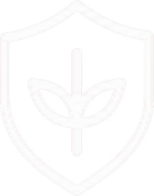 Warranty Registration
